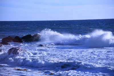 DSC_0552 (Large).JPG